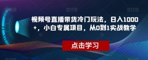 视频号直播带货冷门玩法，日入1000+，小白专属项目，从0到1实战教学【揭秘】-最全项目网