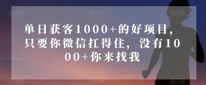 单日获客1000+的好项目，只要你微信扛得住，没有1000+你来找我【揭秘】-最全项目网