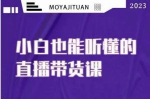 大威本威·能听懂的直播带货课,小白也能听懂,20节完整-最全项目网