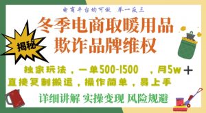 利用电商平台冬季销售取暖用品欺诈行为合理制裁店铺，单日入900+【仅揭秘】-最全项目网