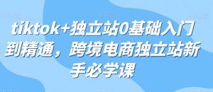 tiktok+独立站0基础入门到精通,跨境电商独立站新手必学课-最全项目网