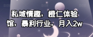 私域情趣,橙仁体验馆,暴利行业,月入2w【揭秘】-最全项目网