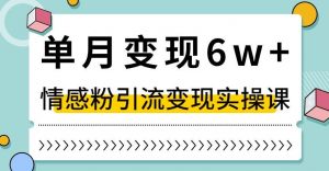 单月变现6W+，抖音情感粉引流变现实操课，小白可做，轻松上手，独家赛道【揭秘】-最全项目网