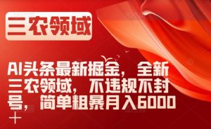 AI头条最新掘金，全新三农领域，不违规不封号，简单粗暴月入6000＋【揭秘】-最全项目网