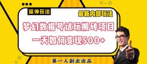 数据号回归玩法游戏试玩搬砖项目再创日入500+【揭秘】-最全项目网