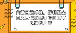 卖莆田篮球鞋，暴利掘金日入四位数新手小白都可以轻松上手【揭秘】-最全项目网