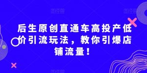 后生原创直通车高投产低价引流玩法,教你引爆店铺流量!-最全项目网