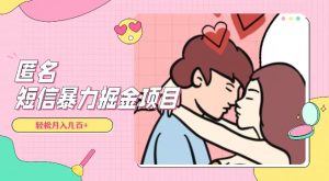 全网首发，揭秘超冷门匿名短信项目，通过信息差日入几百+【揭秘】-最全项目网