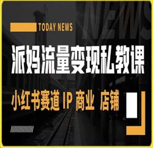 派妈流量变现私教课,小红书赛道IP  商业  店铺 -最全项目网