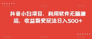 抖音小白项目，利用软件无脑搬运，收益裂变玩法日入500+【揭秘】-最全项目网