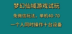 梦幻仙域游戏试玩，免微信玩法，单机40-70，一个人同时操作十台设备【揭秘】-最全项目网
