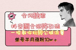 全网独家抖音图文矩阵引流,一招教你玩转公域流量,单号半月涨粉10w+【揭秘】-最全项目网