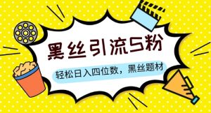 S粉变现,轻松日入四位数,黑丝题材+情感话术【揭秘】-最全项目网