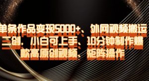 单条作品变现5000+、外网视频搬运二创，小白可上手，10分钟制作爆款高原创视频，矩阵操作【揭秘】-最全项目网