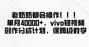 老奶奶都会操作,新平台无脑操作,单月40000+,vivo短视频创作分成计划【揭秘】-最全项目网