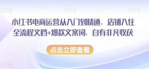 小红书电商运营从入门到精通,店铺入住全流程文档+爆款文案词,自有非凡收获-最全项目网
