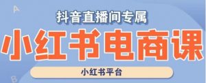 小红书电商高级运营课程,实操教学+案例分析-最全项目网
