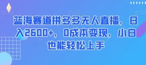 蓝海赛道拼多多无人直播,日入2600+,0成本变现,小白也能轻松上手【揭秘】-最全项目网