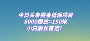 今日头条掘金低保项目，8000播放=150米，小白副业首选【揭秘】-最全项目网