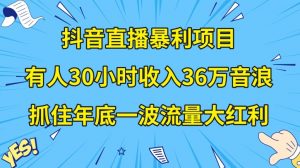 抖音直播暴利项目，有人30小时收入36万音浪，公司宣传片年会视频制作，抓住年底一波流量大红利【揭秘】-最全项目网