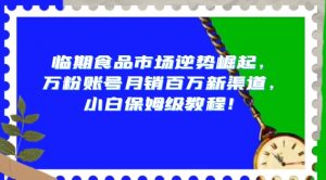 临期食品市场逆势崛起,万粉账号月销百万新渠道,小白保姆级教程【揭秘】-最全项目网