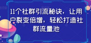 11个社群引流秘诀，让用户裂变倍增，轻松打造社群流量池-最全项目网
