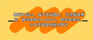 男粉计划6.0,每天发发图片,引流精准男粉,被动变现月入8000+,喂饭式教学,小白无脑复制操作即可-最全项目网