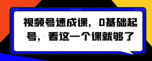 视频号速成课,0基础起号,看这一个课就够了-最全项目网