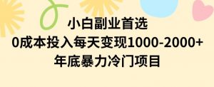 小白副业首选，0成本投入，每天变现1000-2000年底暴力冷门项目【揭秘】-最全项目网