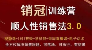 爆款！销冠训练营3.0之顺人性销售法，全方位解决销售难题、可落地、可执行、有结果-最全项目网