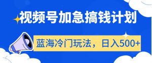 视频号加急搞钱计划,蓝海冷门玩法,日入500+【揭秘】-最全项目网