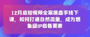 12月底短视频全案操盘手线下课,如何打通自然流量,成为想象级IP必备要素-最全项目网