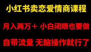 小红书卖恋爱情商课程,月入两万+,小白闭眼也要做,自带流量,无脑操作就行了【揭秘】-最全项目网