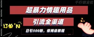 最新情趣项目引流全渠道,自带高流量,保姆级教程,轻松破百单,日引500+粉【揭秘】-最全项目网