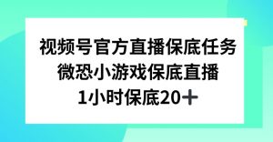 视频号直播任务，微恐小游戏，1小时20+【揭秘】-最全项目网