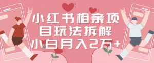 小红书相亲项目玩法拆解,有人通过这个副业项目做到了月收入2万多【揭秘】-最全项目网