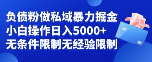 负债粉私域暴力掘金，小白操作入5000，无经验限制，无条件限制【揭秘】-最全项目网