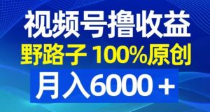 视频号野路子撸收益，100%原创，条条爆款，月入6000＋【揭秘】-最全项目网
