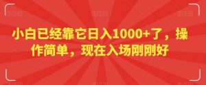 小白已经靠它日入1000+了,操作简单,现在入场刚刚好【揭秘】-最全项目网