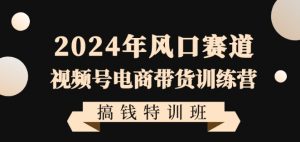 2024年风口赛道视频号电商带货训练营搞钱特训班，带领大家快速入局自媒体电商带货-最全项目网