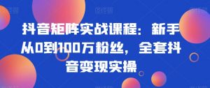 抖音矩阵实战课程:新手从0到100万粉丝,全套抖音变现实操-最全项目网