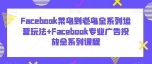 Facebook菜鸟到老鸟全系列运营玩法+Facebook专业广告投放全系列课程-最全项目网