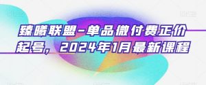 臻曦联盟-单品微付费正价起号，2024年1月最新课程-最全项目网