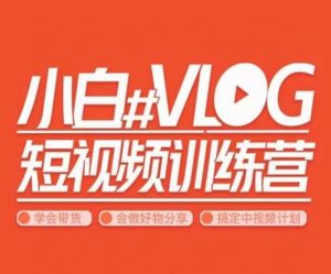 小呆说视–小白VLOG短视频训练营,学会带货、好物、直播、中视频-最全项目网