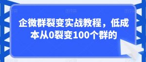 企微群裂变实战教程,低成本从0裂变100个群的-最全项目网