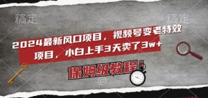 2024最新风口项目,视频号变老特效项目,电脑小白上手3天卖了3w+,保姆级教程【揭秘】-最全项目网