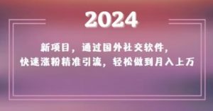 2024新项目,通过国外社交软件,快速涨粉精准引流,轻松做到月入上万【揭秘】-最全项目网