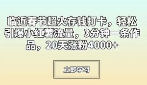 临近春节超火存钱打卡,轻松引爆小红薯流量,3分钟一条作品,20天涨粉4000+【揭秘】-最全项目网