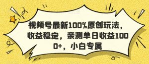 视频号最新100%原创玩法,收益稳定,亲测单日收益1000+,小白专属【揭秘】-最全项目网