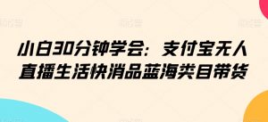 小白30分钟学会:支付宝无人直播生活快消品蓝海类目带货【揭秘】-最全项目网